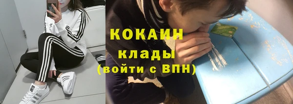 PSILOCYBIN Абаза