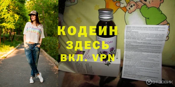 хмурый Алексин