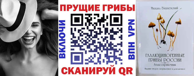 Галлюциногенные грибы GOLDEN TEACHER  нарко площадка как зайти  Бийск  что такое наркотик 